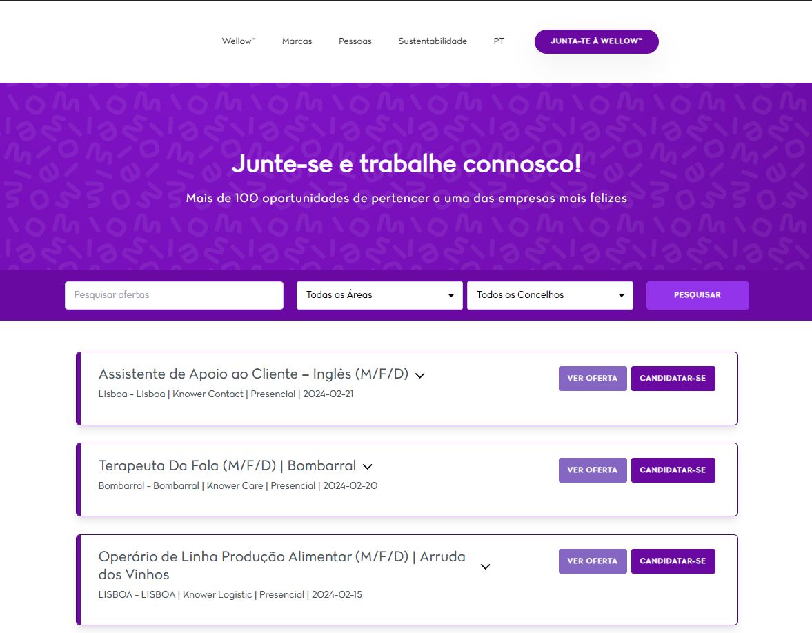 Wellow Carrers - Candidaturas para Wellow Group